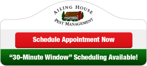 Ailing House Pest Control - Schedule Appoinment Now Button