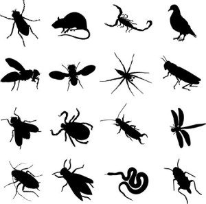 AIling House Pest Managent - Carmel CA - Frequently Asked Questions - Pest Control Services Image