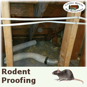 rodent rat cleanup service san jose ca - ailing house pest management inc