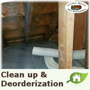 attic rodent cleanup service san jose ca - ailing house pest management inc