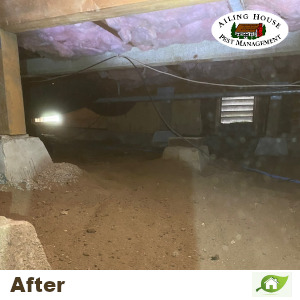 Crawl Space Vapor Barrier Repair and Installation Services - Ailing House Pest Management