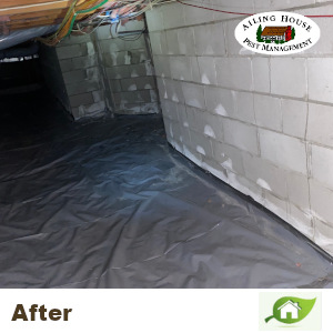 Crawl Space Vapor Barrier Repair and Installation Services - Ailing-House-Pest-Management