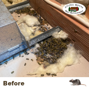 fast-professional-affordadble-home-inspection-services-pest-inspection-wood-destroying-organisms-wdo-monterey-ca